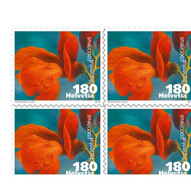 Briefmarken CHF 1.80 «Feuerbohne», Bogen mit 10 Marken Bogen Gemüseblüten, selbstklebend, ungestempelt