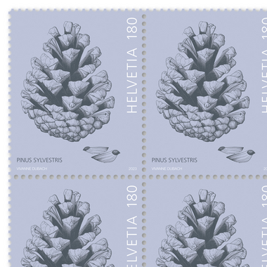 Timbres CHF 1.80 «Pive de pin», Feuille de 16 timbres Feuille «Fruits d’arbres», gommé, non oblitéré