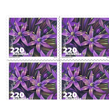 Timbres CHF 2.20 «Poireau», Feuille de 10 timbres Feuille Légumes en fleurs, autocollant, non oblitéré