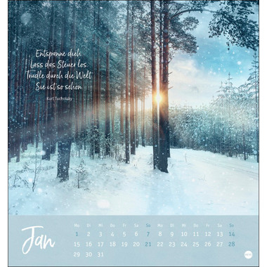 HEYE Unser Wald Postkartenkalender 23254 DE, 16x17cm 2024
