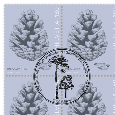 Timbres CHF 1.80 «Pive de pin», Feuille de 16 timbres Feuille «Fruits d’arbres», gommé, oblitéré