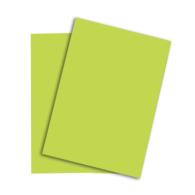 PAPYRUS Rainbow Paper FSC A4 88043138 160g, verde 250 fogli