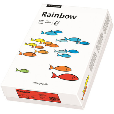 PAPYRUS Rainbow Papier FSC A4 88043131 intensivorange, 160g 250 Blatt