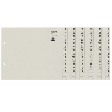 LEITZ Registro carta grigio A4 13360085 A-Z, 240x65x200mm 540 fogli
