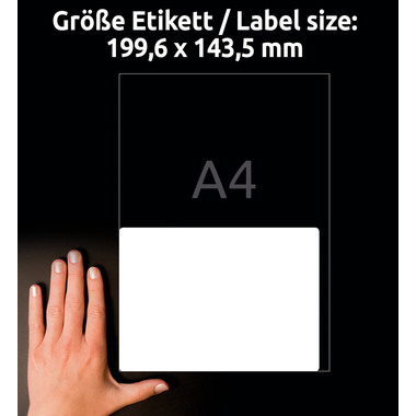 AVERY ZWECKFORM Etichette 143.5x199.6mm 7168-10 bianco, perm. 10 fogli/2 pz.