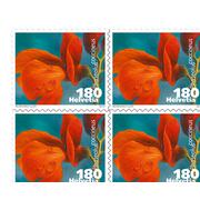 Timbres CHF 1.80 «Haricot d&#039;Espagne», Feuille de 10 timbres Feuille Légumes en fleur, autocollant, non oblitéré