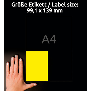 AVERY ZWECKFORM Etiketten Typenschild gelb L612720 20 Blatt A4