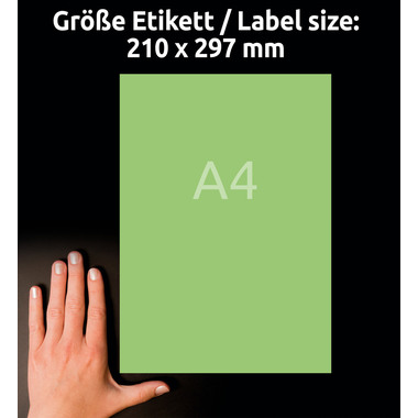 AVERY ZWECKFORM Etiketten A4 3472 grün 100 Stück