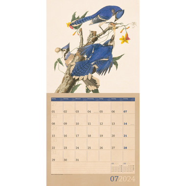 ACKERMANN Welt der Vögel Kalender 2024 4408 DE, FR, EN Multicolor, 30x30cm