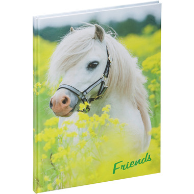 PAGNA Freundebuch 20346-15 kleines Pony 60S