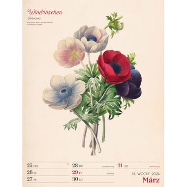 ACKERMANN Ars Floralis Vintage 2024 3412 DE Multicolor, 25x33cm