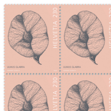 Timbres CHF 2.30 «Samare», Feuille de 16 timbres Feuille «Fruits d’arbres», gommé, non oblitéré