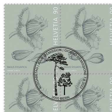 Stamps CHF 0.90 «Beechnuts», Sheet with 16 stamps Sheet «Tree fruits», gummed, cancelled