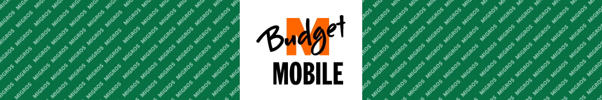 MBudget Logo Banner