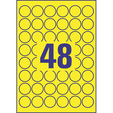 AVERY ZWECKFORM Etiketten Typenschild gelb L612820 20 Blatt A4