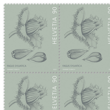 Briefmarken CHF 0.90 «Buchennüsschen», Bogen mit 16 Marken Bogen «Baumfrüchte», gummiert, ungestempelt