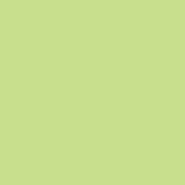 PAPYRUS Rainbow Paper FSC A4 88042608 80g, verde brillante 500 fogli