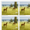 Francobolli CHF 0.90 «Parco del Doubs», Foglio da 10 francobolli Foglio «Parchi svizzeri» da CHF 0.90, autoadesiva, senza annullo