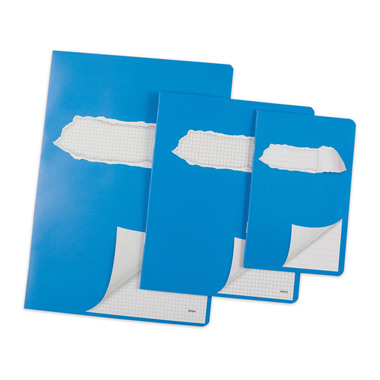 ELCO Quaderno A4 73051.37 quadrettato blu
