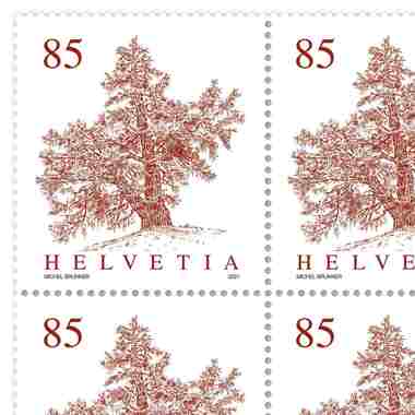 Briefmarken CHF 0.85 «Lärche», Bogen mit 12 Marken Bogen Bäume, gummiert, ungestempelt