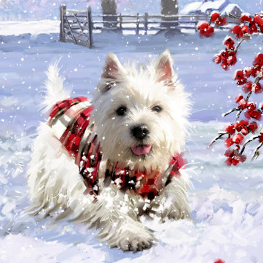 COPPENRATH Adventskalender 58x34cm 71920 Wunderbare Hunde-Weihnacht