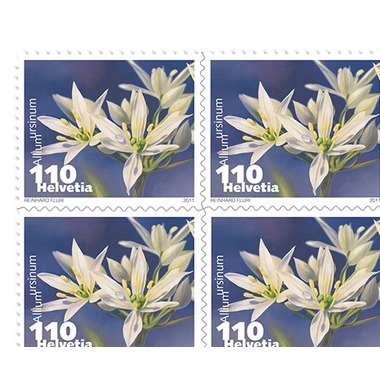 Image of Briefmarken CHF 1.10 «Gemüseblüten, Bärlauch», Bogen mit 10 Marken
