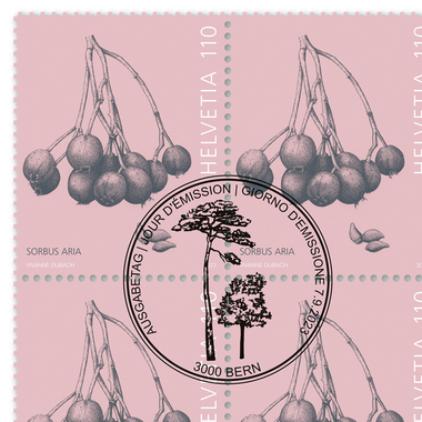 Briefmarken CHF 1.10 «Mehlbeeren», Bogen mit 16 Marken Bogen «Baumfrüchte», gummiert, gestempelt