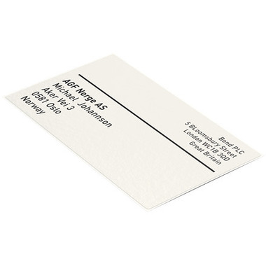LEITZ Etichette continue Icon carta 70130001 59x102mm 225 pezzi perm.