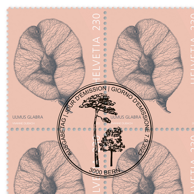 Timbres CHF 2.30 «Samare», Feuille de 16 timbres Feuille «Fruits d’arbres», gommé, oblitéré