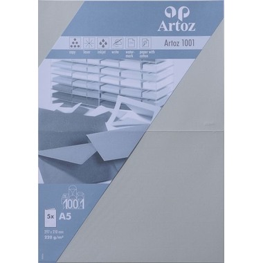 ARTOZ Cartes 1001 A5 107392262 220g, gris clair 5 feuilles